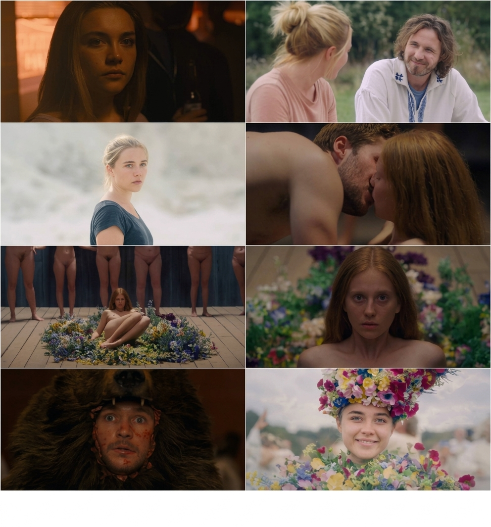 Midsommar (2019) (Hindi + English) Dual Audio Hollywood Movie BluRay HD ESub Screenshot