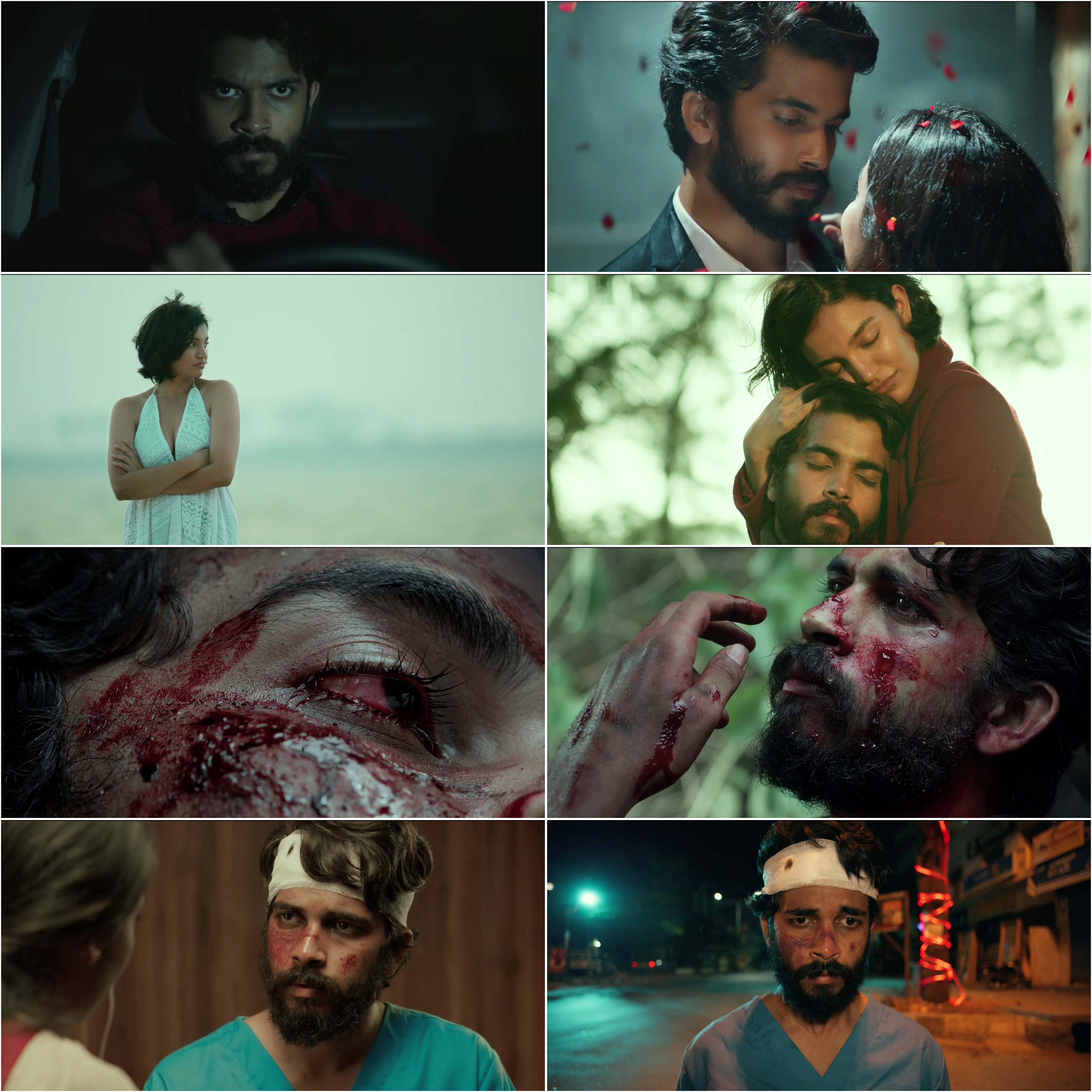 Vritta (2025) (Hindi + Kannada) Dual Audio UnCut South Movie HD ESub Screenshot